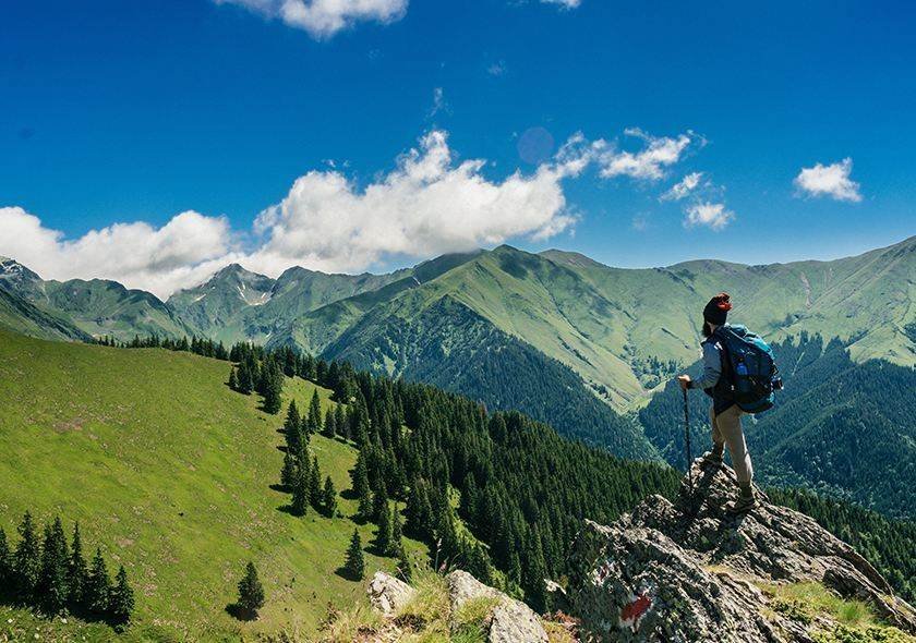 Hiker overlooking green mountain slopes