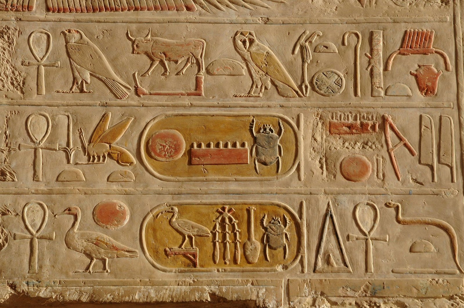Rows of carved Egyptian hieroglyphs and royal cartouches with traces of red and yellow paint on a sandstone wall