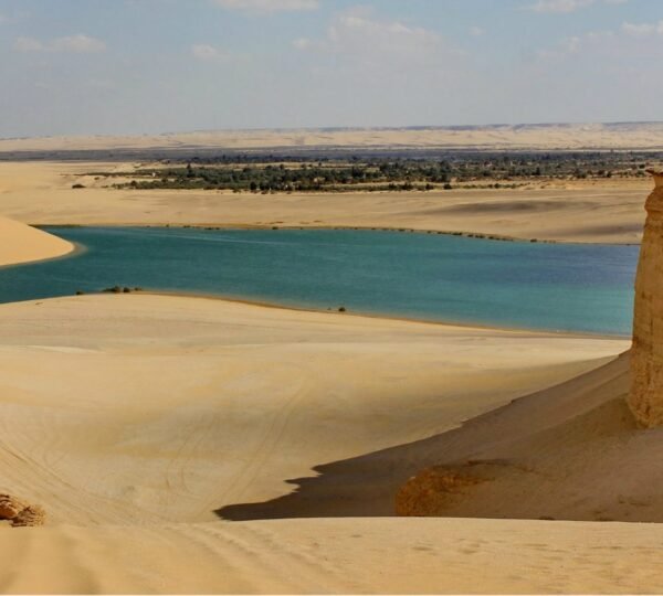 Day Tour to El Fayoum Oasis and sightseeing from Cairo3