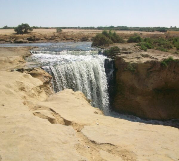 Day Tour to El Fayoum Oasis and sightseeing from Cairo4