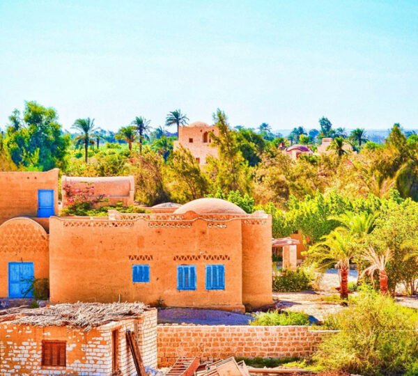 Day Tour to El Fayoum Oasis and sightseeing from Cairo6