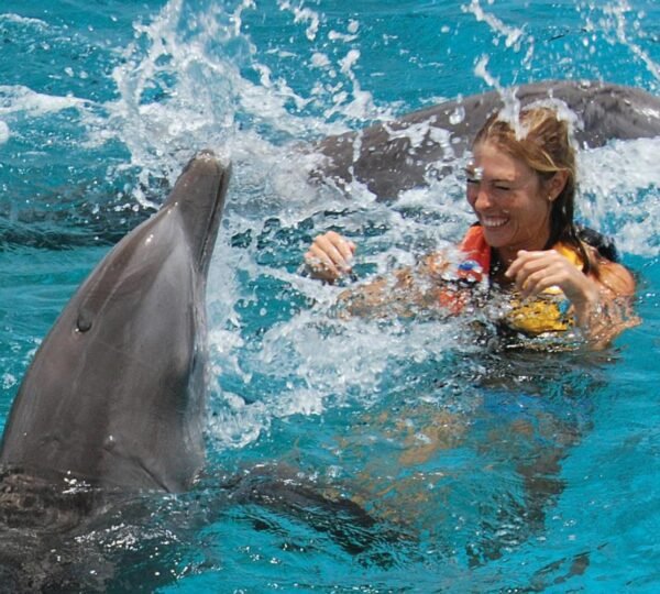 Swimming with Wild Dolphins in Hurghada5