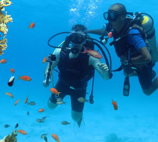 Tiran Island Snorkeling1