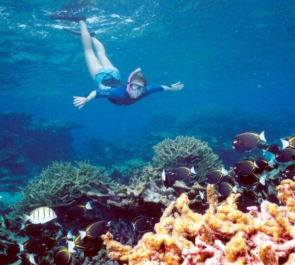 Tiran Island Snorkeling2