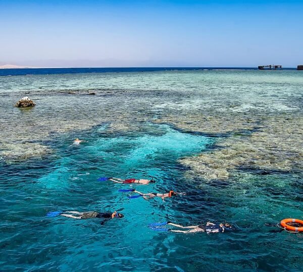 Tiran Island Snorkeling3