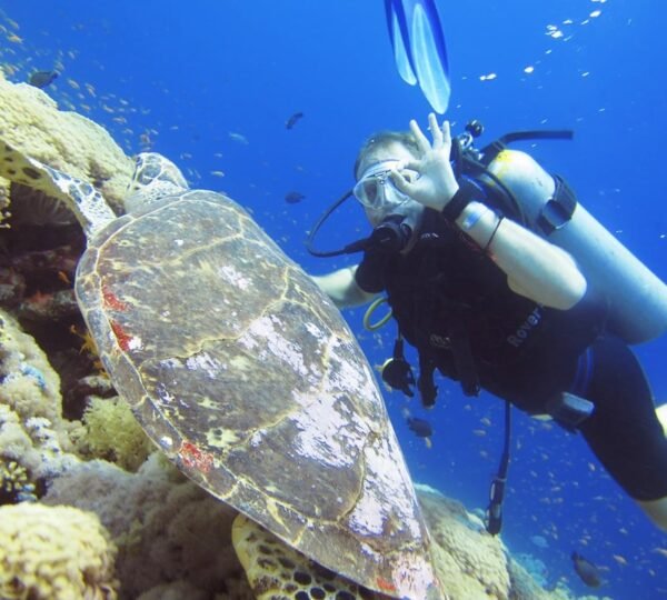Tiran Island Snorkeling5