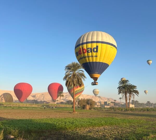Hot air balloons flying low above green fields and palm trees near Luxor