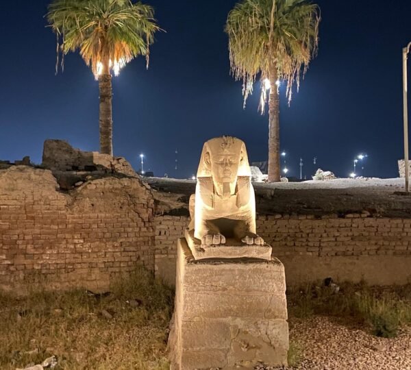 A stone sphinx illuminated at night with two lit palm trees and ancient brickwork behind