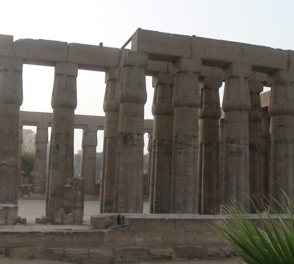 Rows of tall sandstone columns and lintels at Luxor Temple, with palm fronds in the foreground
