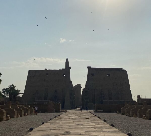 A stone path leading toward the pylons and obelisk of Luxor Temple beneath bright sunlight