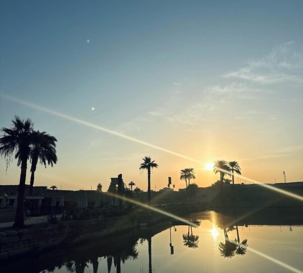 The setting sun and silhouetted palm trees reflected in the still water of Karnak Temple’s sacred lake