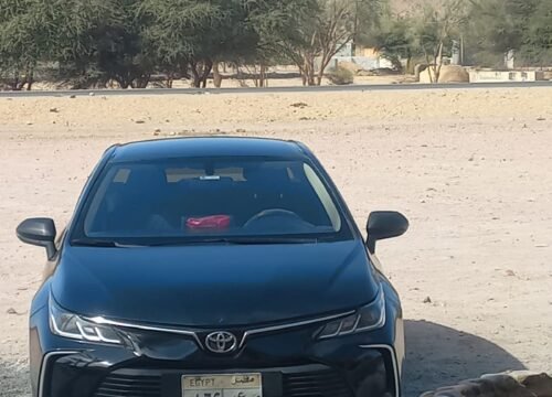Transfer From Luxor Train Station to Hotel