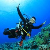 A scuba diver in full gear swimming beside a coral reef in clear blue Red Sea water