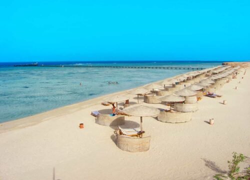 Abu Dabbab Bay Snorkeling Day Trip from Marsa Alam