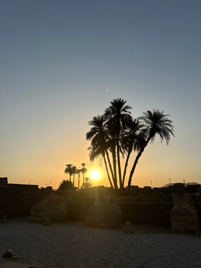 Palm trees silhouetted against the sunset above ancient stone ruins in Egypt
