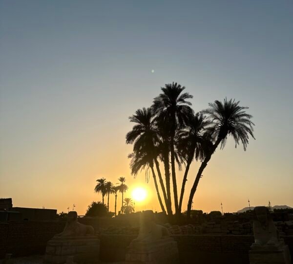 Palm trees silhouetted against the sunset above ancient stone ruins in Luxor