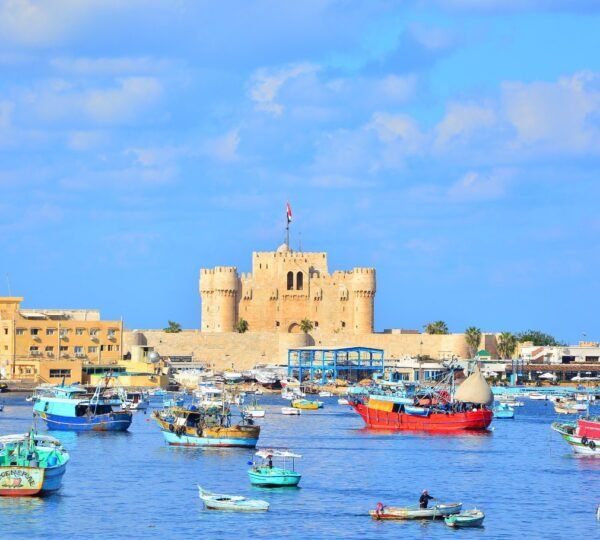 Alexandria2