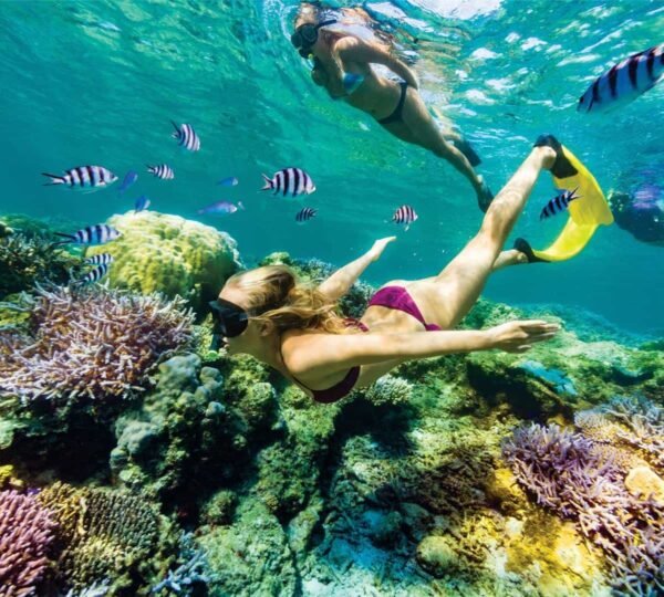 Snorkeling1