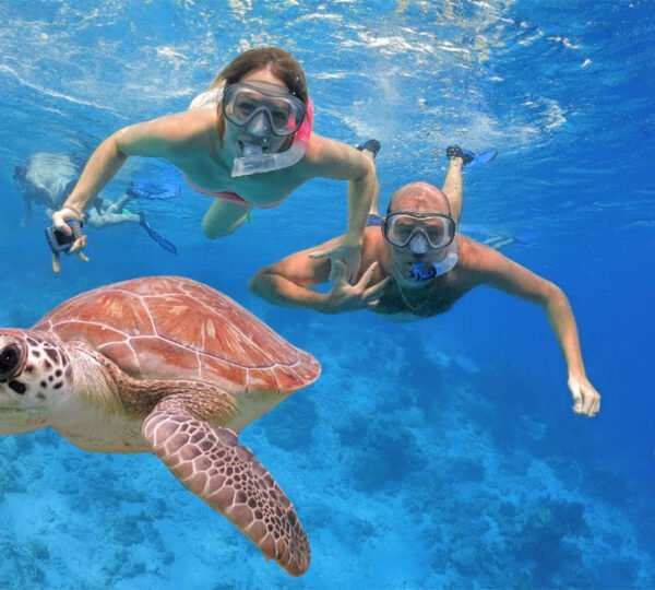 Snorkeling11