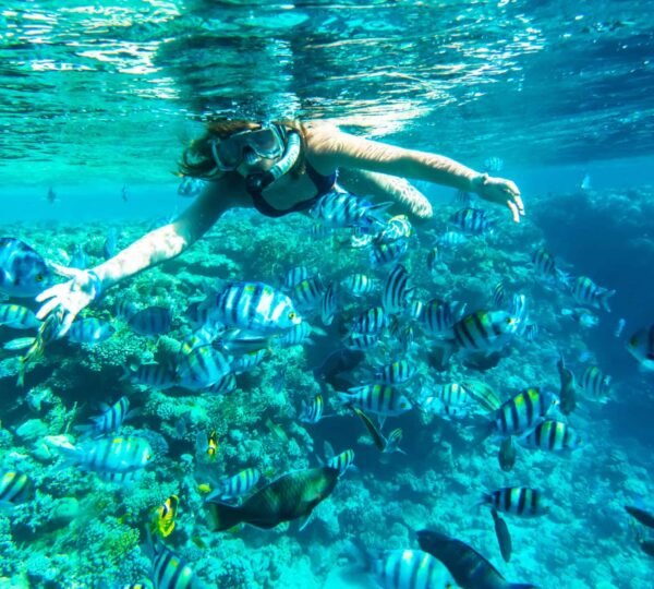 Snorkeling7